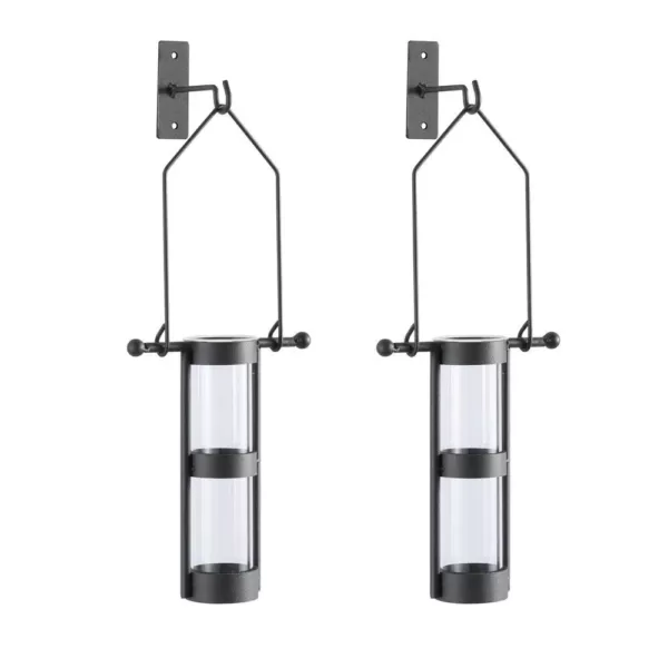 DANYA B Urbanne Rustic Black Metal Wall Mount Hanging Glass Cylinder Decorative Vases (Set of 2)