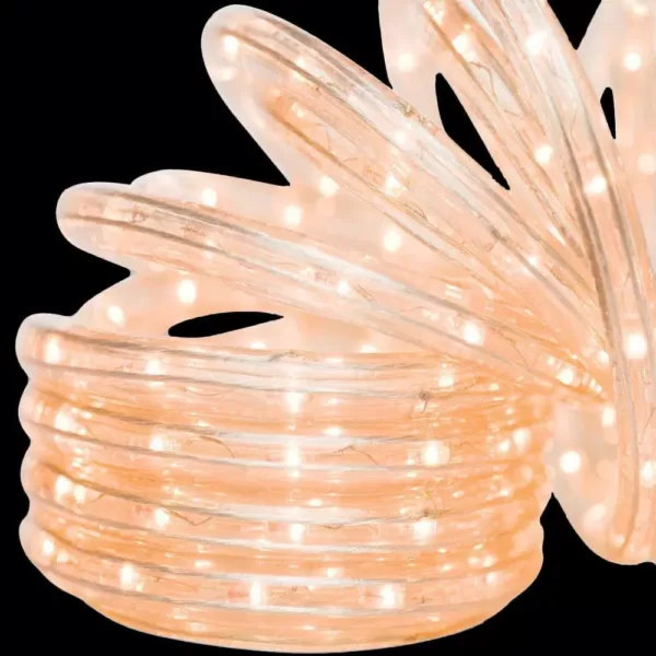 Brite Star 18 ft. 50-Light Clear Rope Light