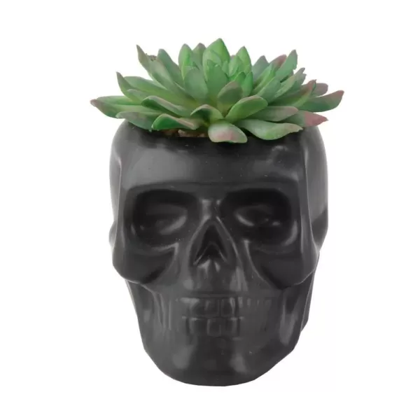 Flora Bunda 4.5 in. x 3.5 in. Artificial Succulent in Matte Black Ceramic Sugar Skull