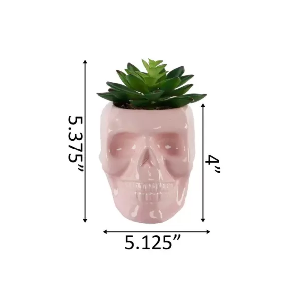 Flora Bunda 4.5 in. x 3.5 in. Artificial Succulent in Pink Ceramic Sugar Skull