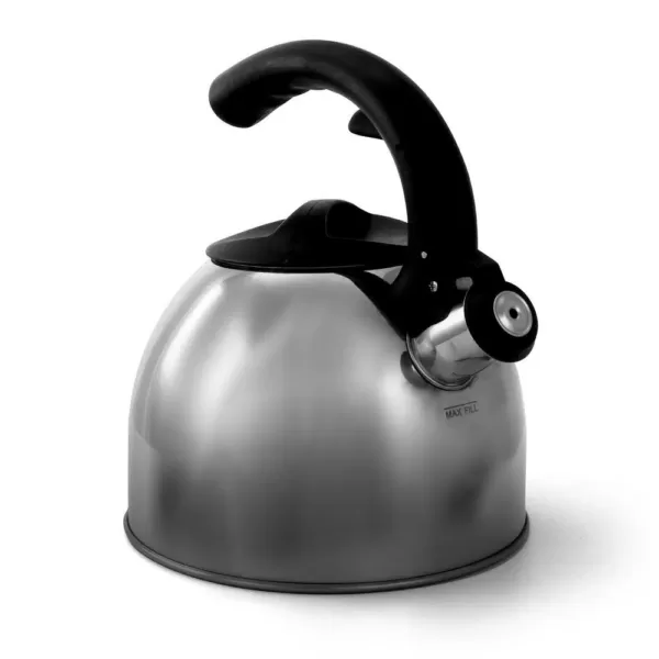 Mr. Coffee Steamline 2 Qt. Tea Kettle