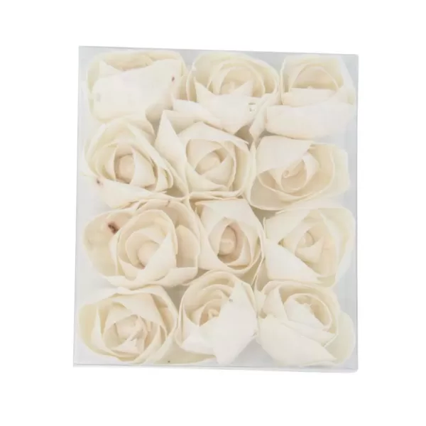 LITTON LANE White Sola Boxed Carnation and Ranunculus Flowers (Set of 2)