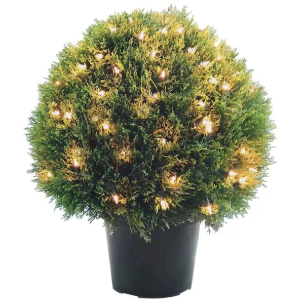 National Tree Company 24 in. Cedar Pine Topiary with Round Green Growers Pot with 100 Clear Lights