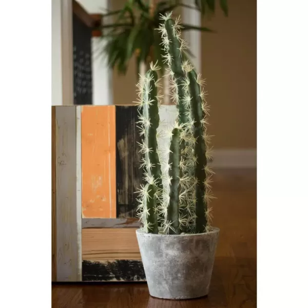 Nearly Natural Decorative Cactus Garden with Cement Planter