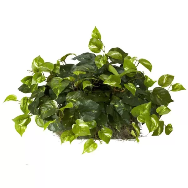 Nearly Natural Indoor 15in. H Green Pothos Ledge Plant (Set on Foam) Silk Plant