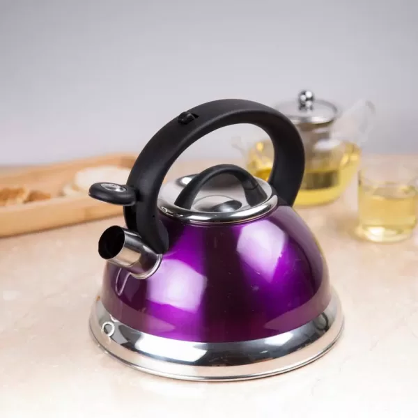 Creative Home Alexa 12-Cup Stovetop Tea Kettle in Purple