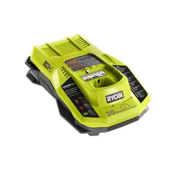 RYOBI 18-Volt ONE+ Dual Chemistry IntelliPort Charger