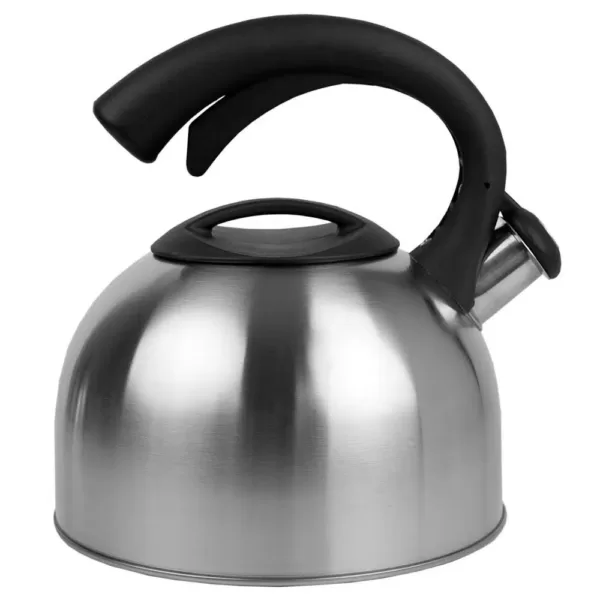 Home Basics 10.5-Cup Stainless Steel Tea Kettle