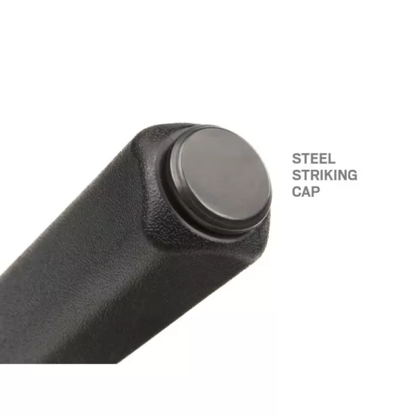 TEKTON 36 in. Angled Tip Handled Pry Bar with Striking Cap