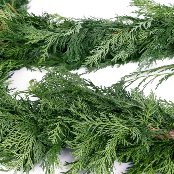 VAN ZYVERDEN 10 ft. Live Fresh Cut Pacific Northwest Cedar Mix Coil Garland