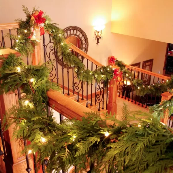 VAN ZYVERDEN 10 ft. Live Fresh Cut Pacific Northwest Douglas and Cedar Mix Coil Garland