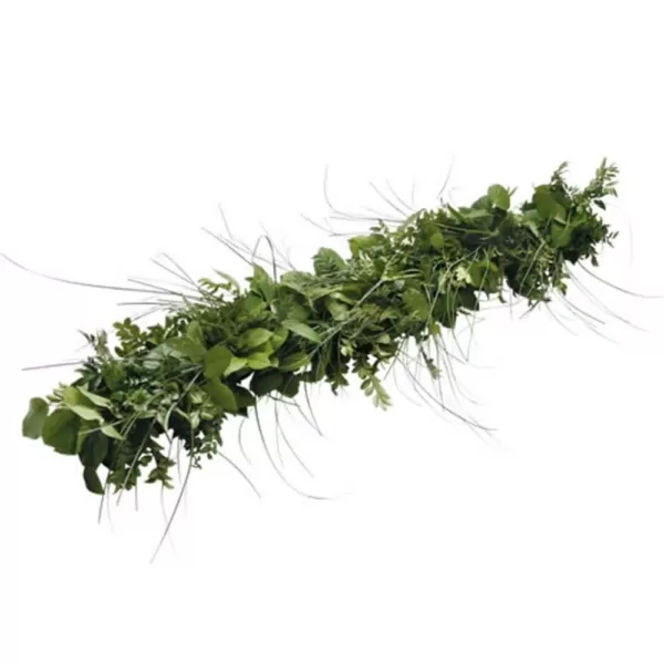 VAN ZYVERDEN 6 ft. Live Fresh Cut Pacific Northwest Deluxe Special Event Garland Mix Coil Runner