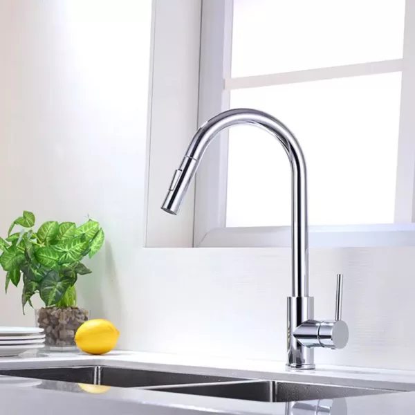 Vanity Art 7.87 in. Single-Handle Pull-Down Sprayer Kitchen Faucet in Chrome