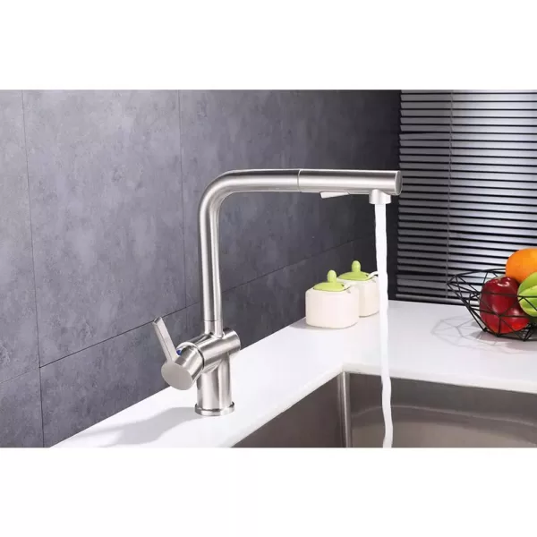 Vanity Art Single-Handle Pull Out Sprayer Kitchen Faucet in Polished Chrome