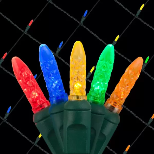 Wintergreen Lighting 48 in. x 72 in. 100-Light M5 LED Multi-Color Net Light Set