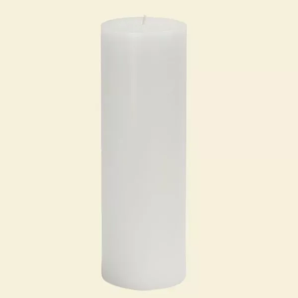 Zest Candle 3 in. x 9 in. White Hand-poured Pillar Candles Bulk (Case of 12)